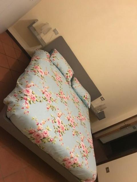 Casa di Veronica Lucca Esterno foto
